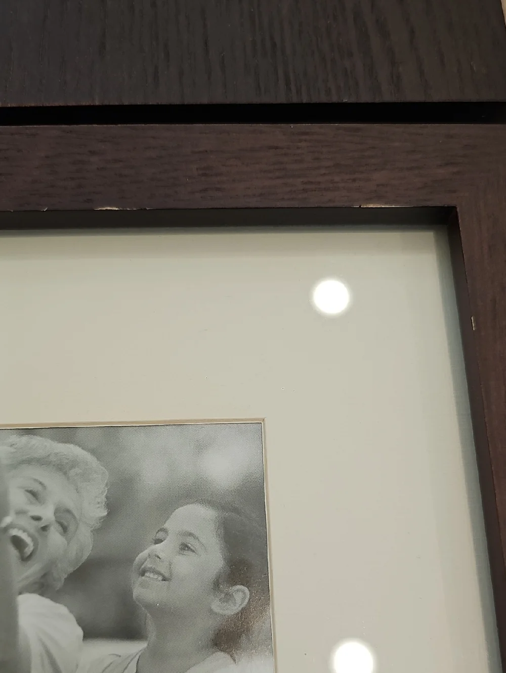 Family Tree Frames Set